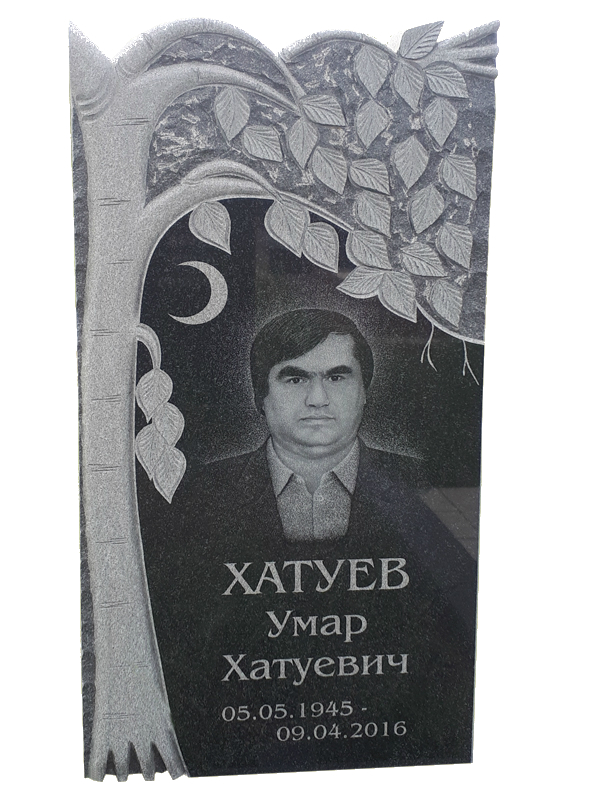 Гранитный памятник с березой